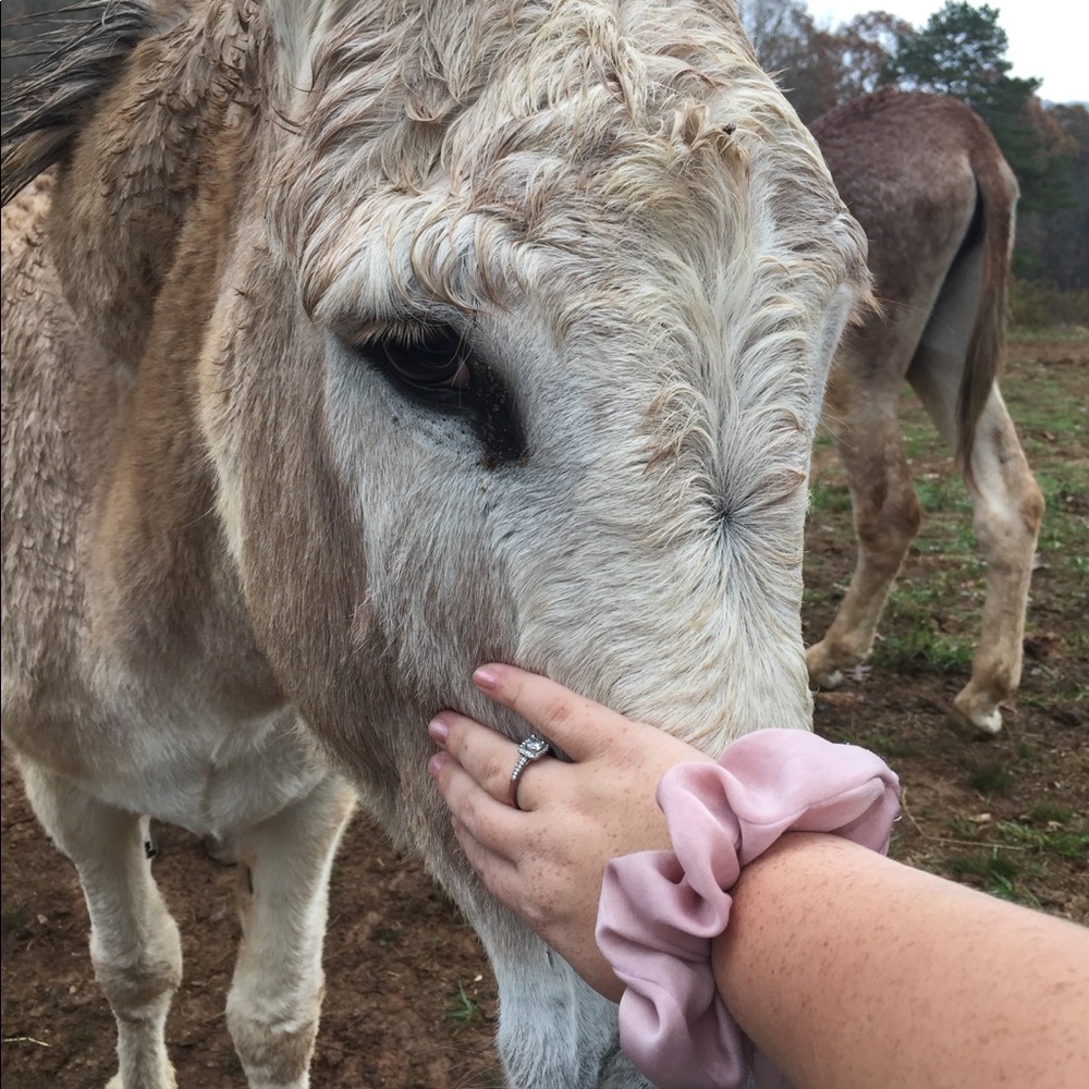 Meet your Posher, Christina